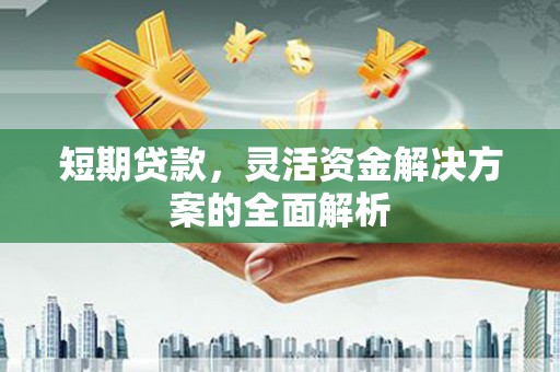 雁江短期贷款，灵活资金解决方案的全面解析