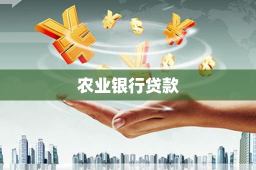 雁江农业银行贷款