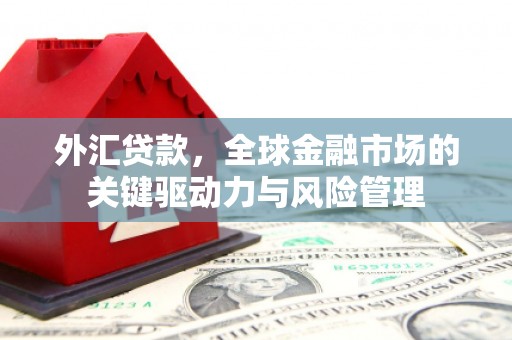 雁江外汇贷款，全球金融市场的关键驱动力与风险管理