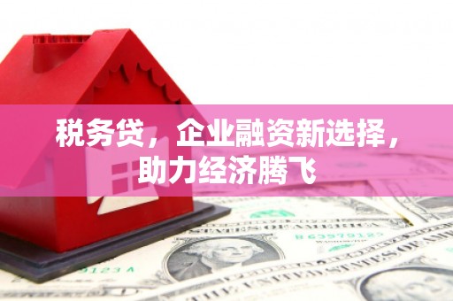 雁江税务贷，企业融资新选择，助力经济腾飞