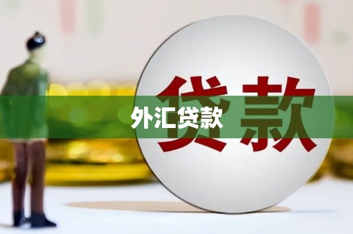 雁江外汇贷款
