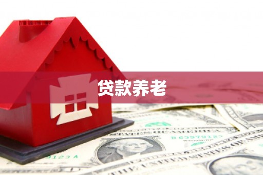 雁江贷款养老