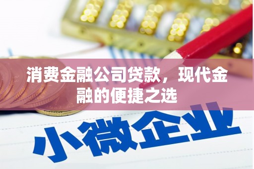 雁江消费金融公司贷款，现代金融的便捷之选