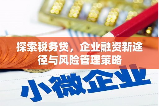 雁江探索税务贷，企业融资新途径与风险管理策略