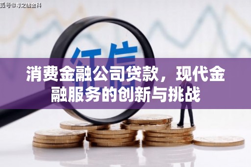 雁江消费金融公司贷款，现代金融服务的创新与挑战