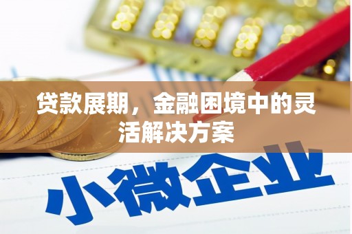 雁江贷款展期，金融困境中的灵活解决方案