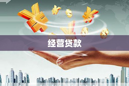 雁江经营贷款