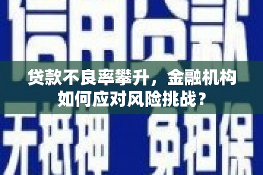 雁江贷款不良率攀升，金融机构如何应对风险挑战？