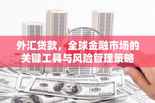 雁江外汇贷款，全球金融市场的关键工具与风险管理策略