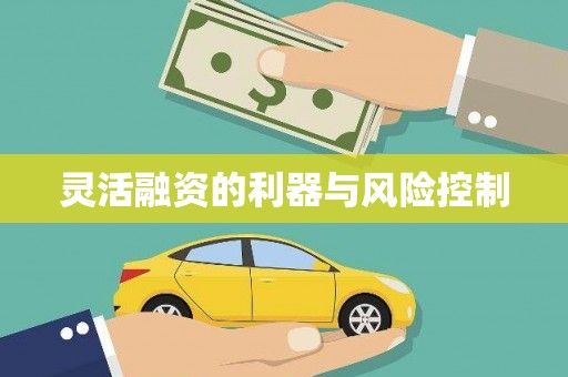 雁江灵活融资的利器与风险控制