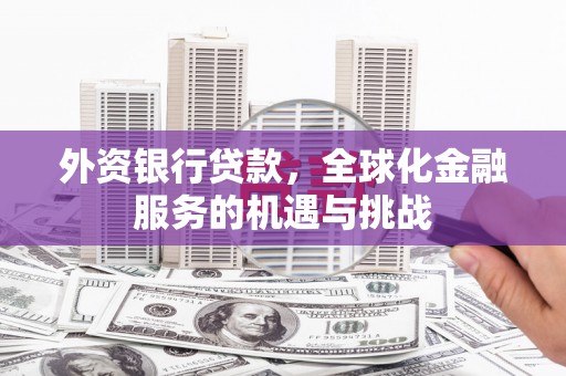 雁江外资银行贷款，全球化金融服务的机遇与挑战