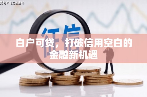 雁江白户可贷，打破信用空白的金融新机遇