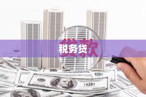 雁江税务贷