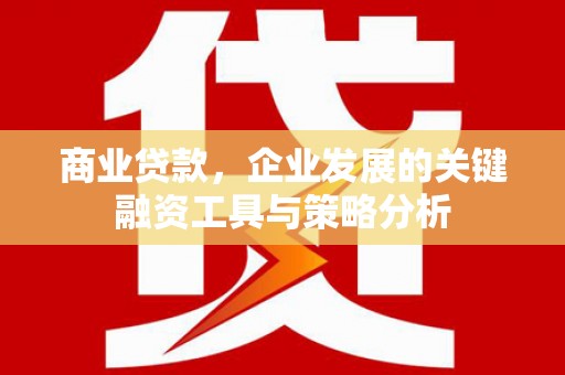 雁江商业贷款，企业发展的关键融资工具与策略分析