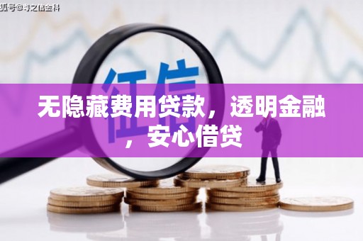 雁江无隐藏费用贷款，透明金融，安心借贷