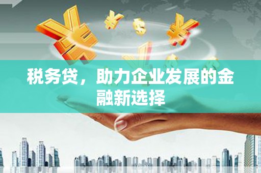 雁江税务贷，助力企业发展的金融新选择