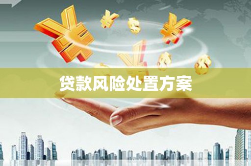 雁江贷款风险处置方案