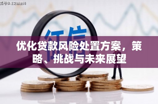 雁江优化贷款风险处置方案，策略、挑战与未来展望