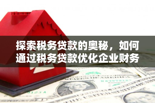 雁江探索税务贷款的奥秘，如何通过税务贷款优化企业财务