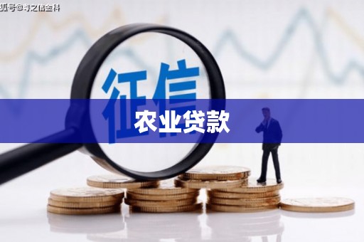 雁江农业贷款
