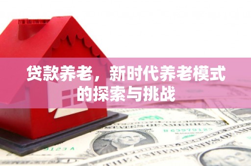 雁江贷款养老，新时代养老模式的探索与挑战