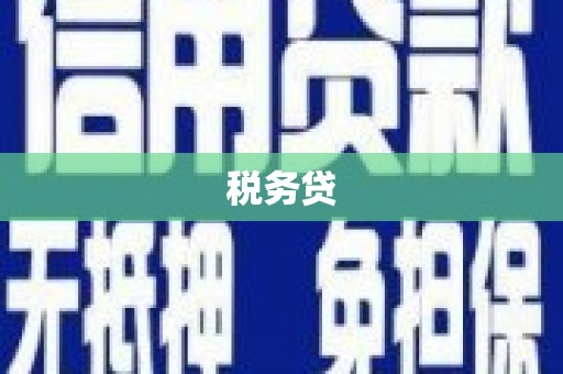 雁江税务贷
