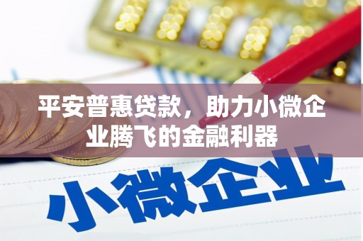 雁江平安普惠贷款，助力小微企业腾飞的金融利器