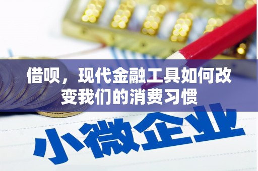 雁江借呗，现代金融工具如何改变我们的消费习惯