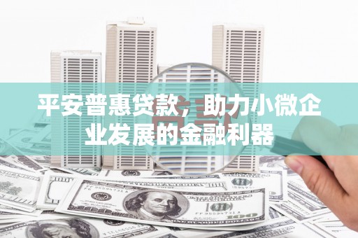 雁江平安普惠贷款，助力小微企业发展的金融利器