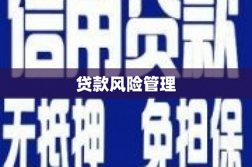 雁江贷款风险管理