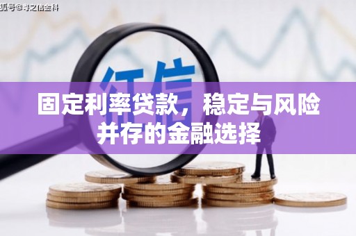雁江固定利率贷款，稳定与风险并存的金融选择