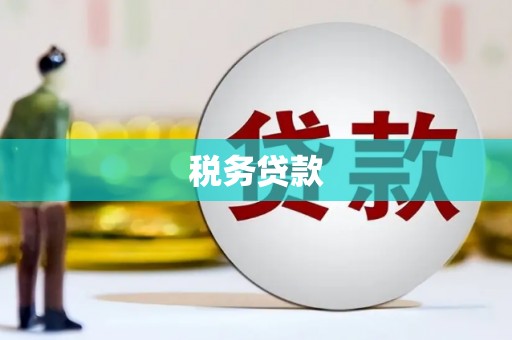 雁江税务贷款