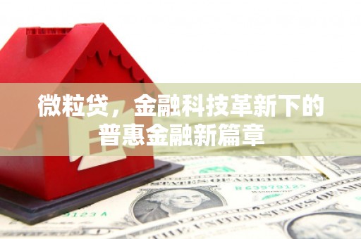 雁江微粒贷，金融科技革新下的普惠金融新篇章