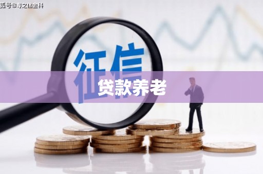 雁江贷款养老