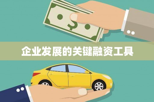 雁江企业发展的关键融资工具