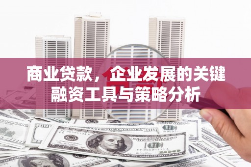 雁江商业贷款，企业发展的关键融资工具与策略分析