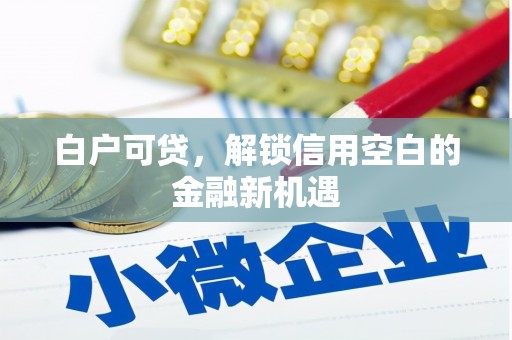 雁江白户可贷，解锁信用空白的金融新机遇