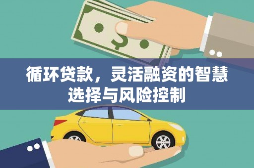 雁江循环贷款，灵活融资的智慧选择与风险控制