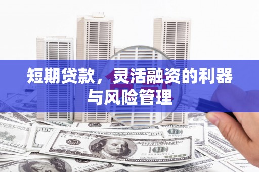 雁江短期贷款，灵活融资的利器与风险管理