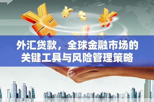 雁江外汇贷款，全球金融市场的关键工具与风险管理策略