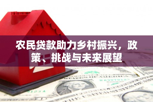 雁江农民贷款助力乡村振兴，政策、挑战与未来展望