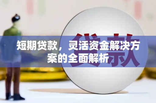 雁江短期贷款，灵活资金解决方案的全面解析