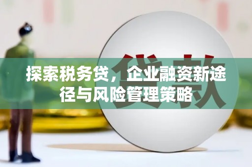 雁江探索税务贷，企业融资新途径与风险管理策略