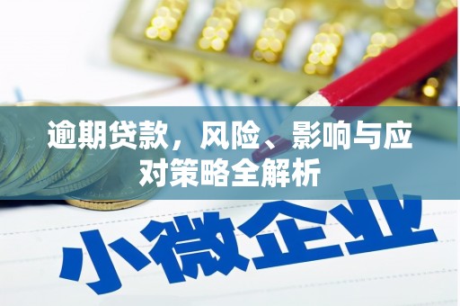 雁江逾期贷款，风险、影响与应对策略全解析