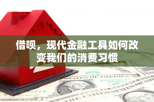 雁江借呗，现代金融工具如何改变我们的消费习惯