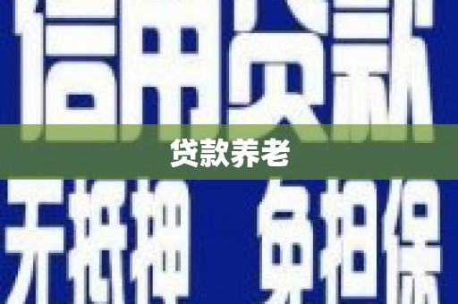 雁江贷款养老