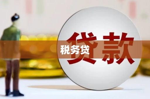 雁江税务贷