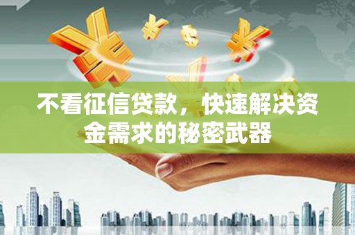 雁江不看征信贷款，快速解决资金需求的秘密武器