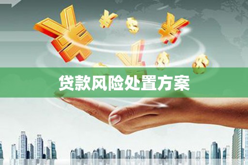 雁江贷款风险处置方案