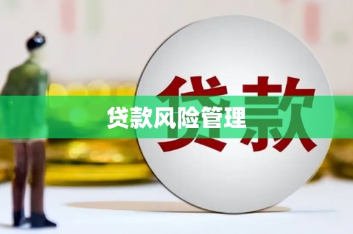 雁江贷款风险管理
